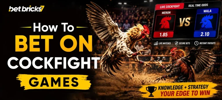 cockfight