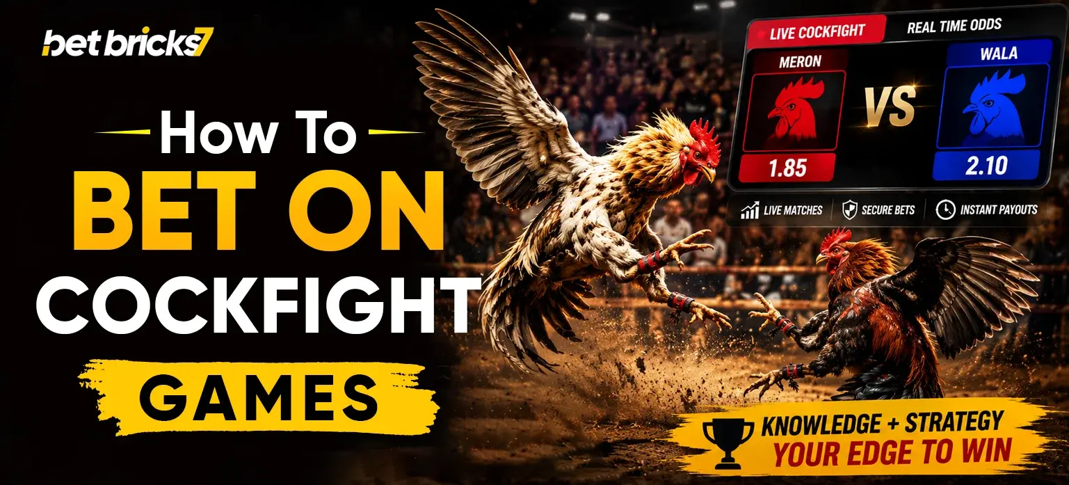 cockfight